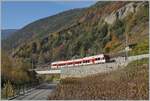 The TMR Region Alpes RABe 525 040 on the way to Martingy in the vineyards by Bovernier.