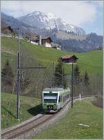 The BLS RABe 525 028 (Nina) on the way from Zweisimmen to Bern by Enge im Simmental.
