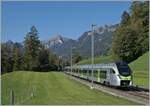 Shortly before Weissenburg, the BLS RABe 528 105 is on its way from Zweisimmen to Bern on October 7, 2023