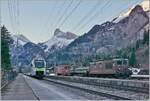 The car tunnel trains on the AT1 route (and AT2 in high season) to Kandersteg (or Iselle) and AT 3 Brig Iselle are the last scheduled areas of operation for the BLS Re 4/4 (Re 425).