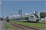 Le BLS RABe 528 105  MIKA  partant en tant que R91 6121 à Bouveret. Le train loué par Regionalps circule de St-Gingolph à Brig et a croisé ici son train en sens inverse.

24 juillet 2024