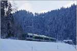 The BLS RABe 535 113 (Lötschbergein) near Trubschachen.