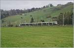 A BLS RABe 535  Lötschberger  between Mülenen and Reichenbach im Kanderstal.