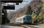 The BLS RABE 535 120 Létschberger in Preglia.
21.11.2017