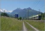 The BLS RAe 535 103 and an other one on the way to Bern by Mülenen. 

14.06.2021