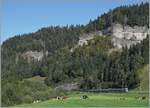 A BLS RABe 535  Lötschberger  and a RABe 525  NINA  by Ennetiflis (Wiggen) in the Entlebuch.