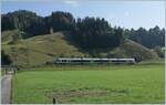 A BLS RABe 535  Lötschberger  on the way from Luzern to Bern by Ennetiflis (Wiggen) in the Entlebuch.

30.09.2020