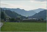 By a bad light is the BLS  Kambly RABe 535  Lötschberger  near Trubschachen on the way to Luzern. 

01.10.2020 
