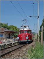 Dopo che il gruppo di viaggio aveva sicuramente gustato un buon pasto in una cantina a Schafis, l'OeBB RCe 2/4 607 (costruito nel 1938/costruttori SLM, MFO, BBC e SAAS) è tornato a Balsthal. Sono riuscito a fotografare il leggero e elegantemente progettato automotrice veloce mentre passava per Ligerz, dove è visibile solo una parte del vecchio magazzino merci. La RCe 2/4 607 è stata l'ultima delle sette Red Arrows consegnate. Il grande successo di questi eleganti treni rese presto problematica la limitata capacità di posti a sedere, e le automotrici furono successivamente utilizzate principalmente per servizi charter. Nel 1974, l'OeBB acquistò la RCe 2/4 607 e gestì l'automotrice ora dipinta di blu tra Oensingen e Balsthal. Dopo una revisione nel 1988/89, tornò a circolare come  Red Arrow  per l'OeBB. Nel 2022/23, l'OeBB ha restaurato l'automotrice nella sua forma originale, come può ora essere vista e vissuta. 19 giugno 2025