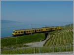 The  train des vignes  is running through the nice vineyards of Lavaux near Chexbres on May 28th, 2012.