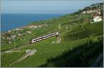 A  Domino  RBe 560 wiht Bt on the way to Vevey in the vineyards by Chexbres.
