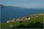 A  Domino  RBe 560 wiht Bt on the way to Vevey in the vineyards by Chexbres. 
10.07.2012