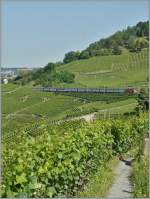 Re 460 089-6 with IC to St Gallen between Bossiere and Grandvaux. 
18. 07.2012