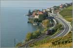 A SBB Re 6/6 with the  Spaghetti -cargo train by Rivaz.