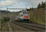 The new 511 114 on the way to Romont between Bossire and Grandvaux.