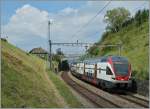 The SBB RABe 511 104 between Bossière and Grandvaux  31.07.2014