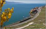 Early spring impressions in the Lavaux Area: Re 460 with an IR by Rivaz. 06.04.2015