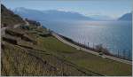 Early spring impressions in the Lavaux Area: A ASBB ETR 610 between St Saphorin and Rivaz. 
06.04.2015