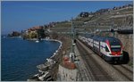 A SBB RABe 511 from Geneva to Vevey by St Saphorin.
26.03.2016