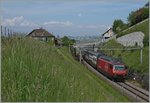 The SBB Re 460 113-4 wiht an IC to St Gallen near Bossière. 
26.05.2016