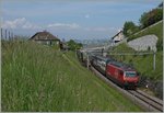 The SBB Re 460 113-4 wiht an IC to St Gallen near Bossière. 
26.05.2016