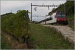 A SBB RBDe 560 to Payerne near Grandvaux.