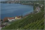 A SBB RABe 511 on the way to Geneva near Epesses.