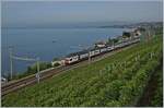 A SBB RABe 511 on the way to Geneva between Cully and Villette VD.