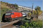 The SBB Re460 068-0 with an IR to Brig by Cully.