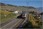 A SBB RABe 511 on the way to Geneva in Cully.