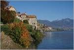 Two Flirts in the Lavaux by St Saphorin.
16.10.2017