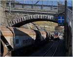 A Cargo Train an a SBB RABe 523 Flirt in Rivaz.