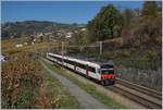 A SBB RBDe 560 Domino between Bossière and Grandvaux.