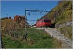 The SBB Re 460 074-8 with an IR to Luzern near Bossiere.