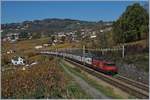 Thew SBB 460 078-9 with an IC from Geneva to St Gallen by Bossiere.
26.10.2017