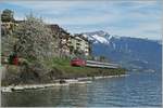 A SBB Re 460 wiht an IR to Geneva by St Saphorin.