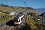The SBB RABe 523 019  Flirt  on the way to Vallorbe by Cully.
16.10.2017