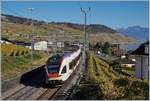 The SBB RABe 523 019  Flirt  on the way to Vallorbe by Cully.
16.10.2017