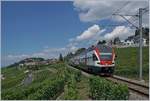 The SBB RABe 511 103 on the way to Geneva (via Vevey) by Chexbres.
10.07.2018