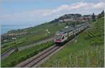 The SBB RABe 511 105 on the way to Vevey and Geneva near Chexbres.
10.07.2018