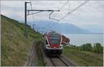 The SBB RABe 511 017 on the way to Fribourg near Chexbres.