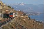 A SBB RBDe 560 Domino on the train de vignes linge (Vineyard-Line) between Vevey and Chexbres over St Saphorin.