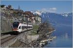 The SBB RABe 523 029 on the way to Allaman by St Saphorian.