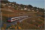 A SBB Domino near Grandvaux in the last daylight.