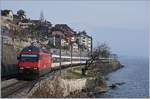 The SBB Re 460 018-5 with an IR to Geneva Airport by St Saphorin.