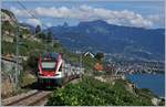 The SBB RABe 511 112 to Geneva by Chexbres (Summertimetable 2018)    26.08.2018