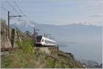 The SBB RABe 523 027 on the Vineyard Line (Ligne Train des Vignes) between Chexbres Village and Vevey.