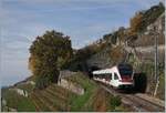 The SBB RABe 523 027 on the Vineyard Line (Ligne Train des Vignes) between Chexbres Village and Vevey.