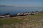 A SBB Re 6/6 with a Cargo Train near Cully on the way to St-Saphorin.