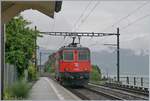 The SBB Re 420 294-1  Cirkus Knie  in St Saphorin.